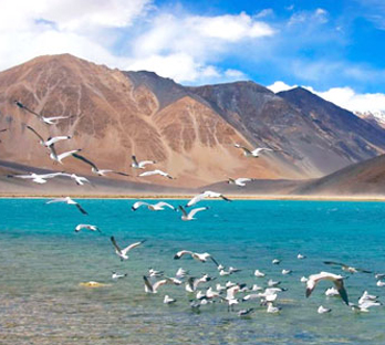 panoramic ladakh